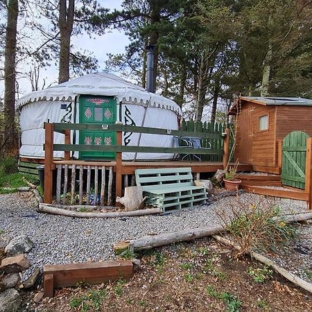 The Tall Pines Yurt เฮล์มสเดล ภายนอก รูปภาพ