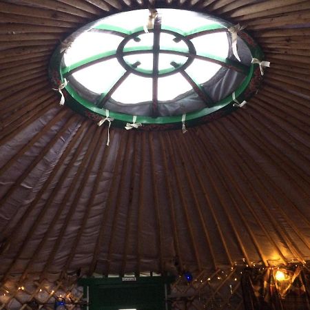The Tall Pines Yurt เฮล์มสเดล ภายนอก รูปภาพ