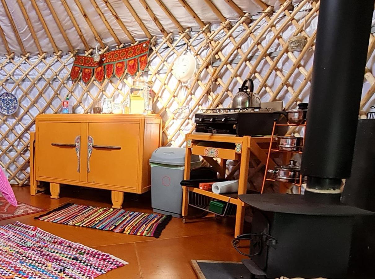 The Tall Pines Yurt เฮล์มสเดล ภายนอก รูปภาพ