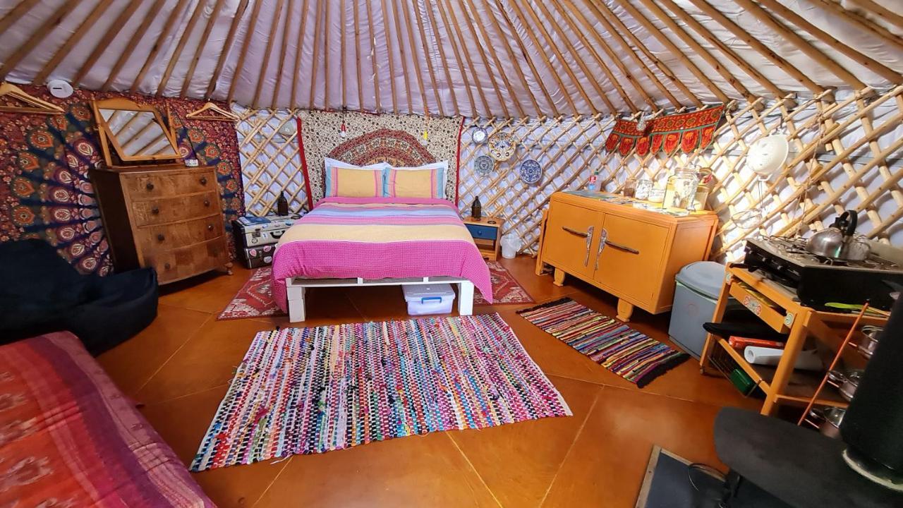 The Tall Pines Yurt เฮล์มสเดล ภายนอก รูปภาพ