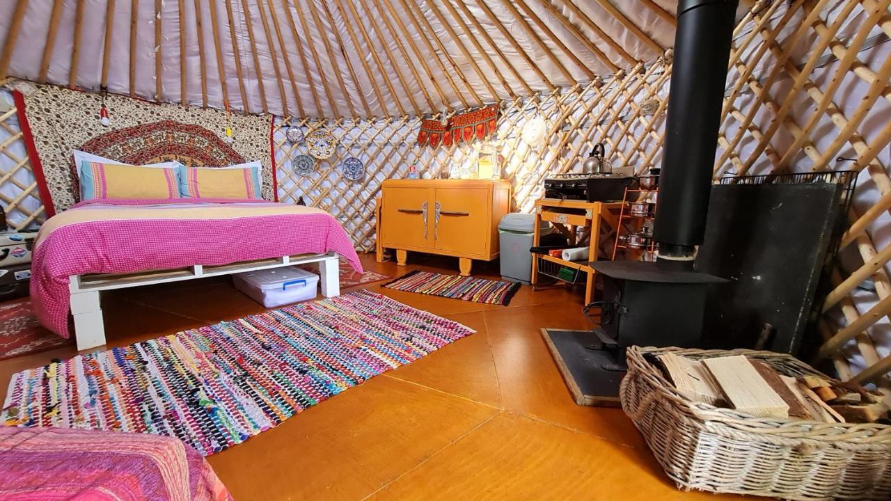 The Tall Pines Yurt เฮล์มสเดล ภายนอก รูปภาพ