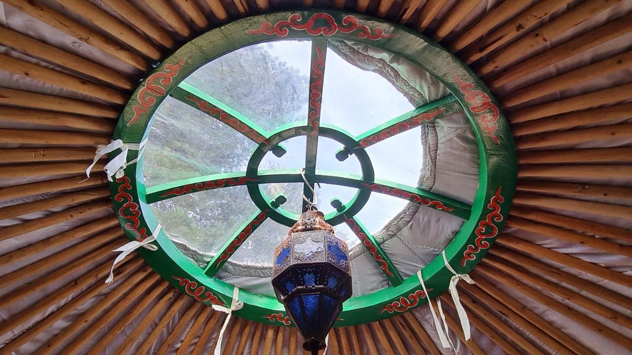 The Tall Pines Yurt เฮล์มสเดล ภายนอก รูปภาพ