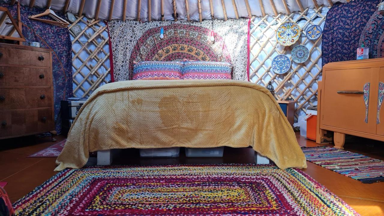 The Tall Pines Yurt เฮล์มสเดล ภายนอก รูปภาพ