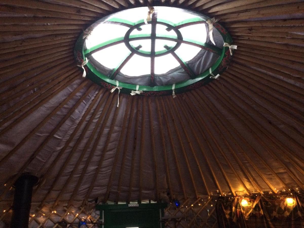 The Tall Pines Yurt เฮล์มสเดล ภายนอก รูปภาพ