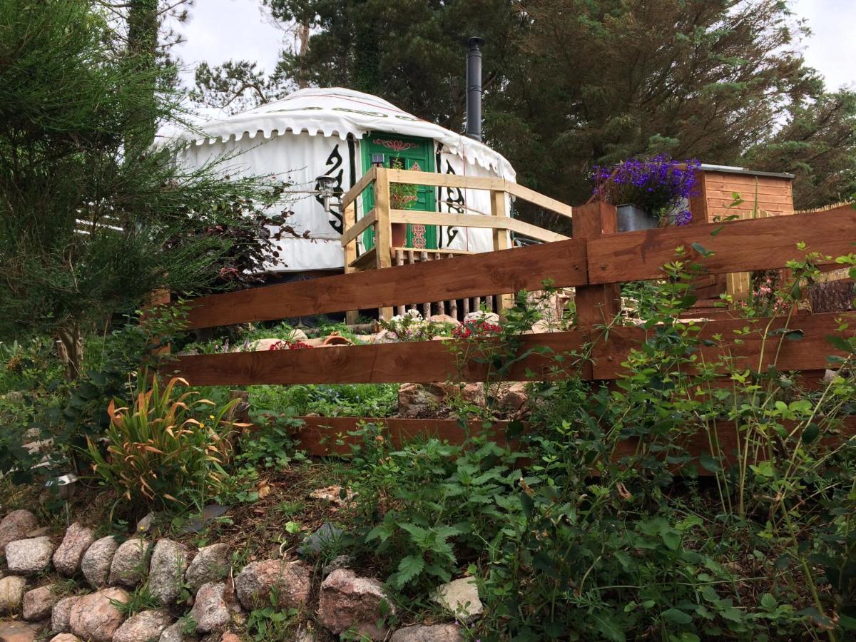 The Tall Pines Yurt เฮล์มสเดล ภายนอก รูปภาพ